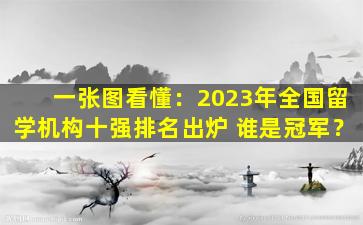 一张图看懂：2023年全国留学机构十强排名出炉 谁是冠军？